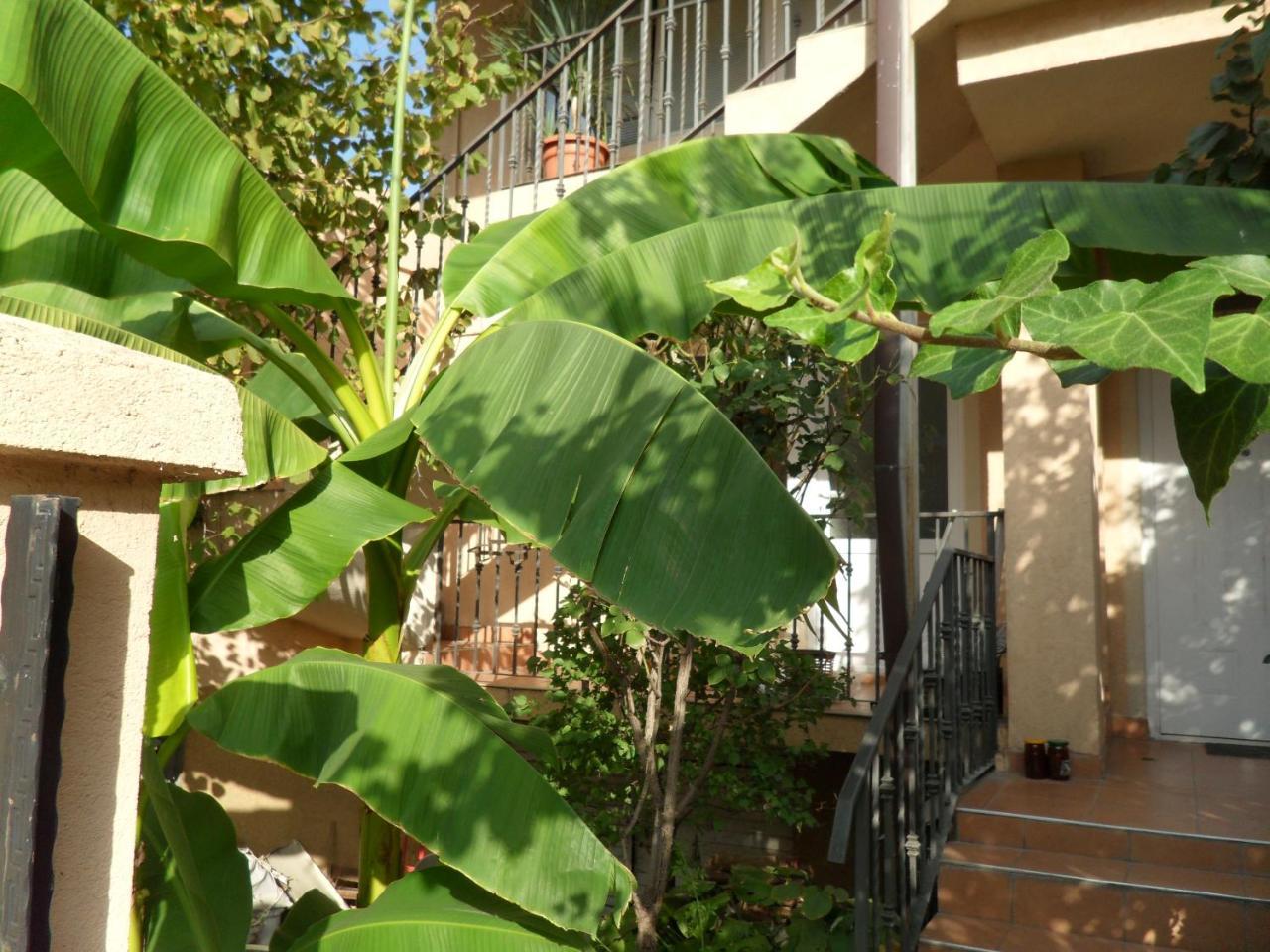 Misko'S Guest House Skopie Exterior foto